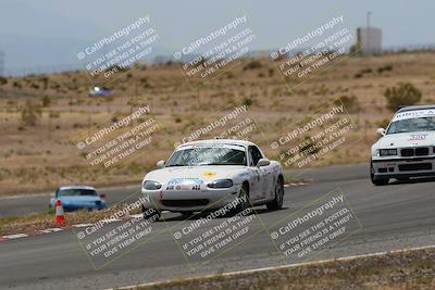 media/May-03-2025-Lucky Dog Racing (Sat) [[206de64b9d]]/Turn 6 (150pm-230pm)/